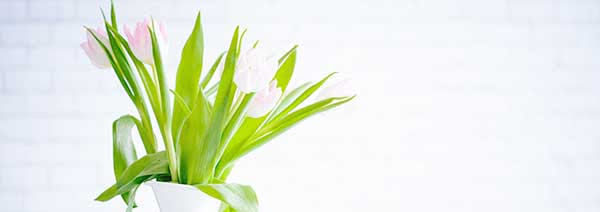Start Fresh: Fun Ways to Welcome Spring!!!
