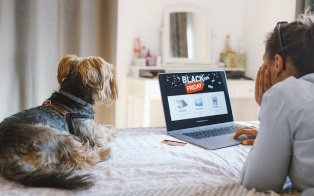 Person and dog browsing Black Friday deals