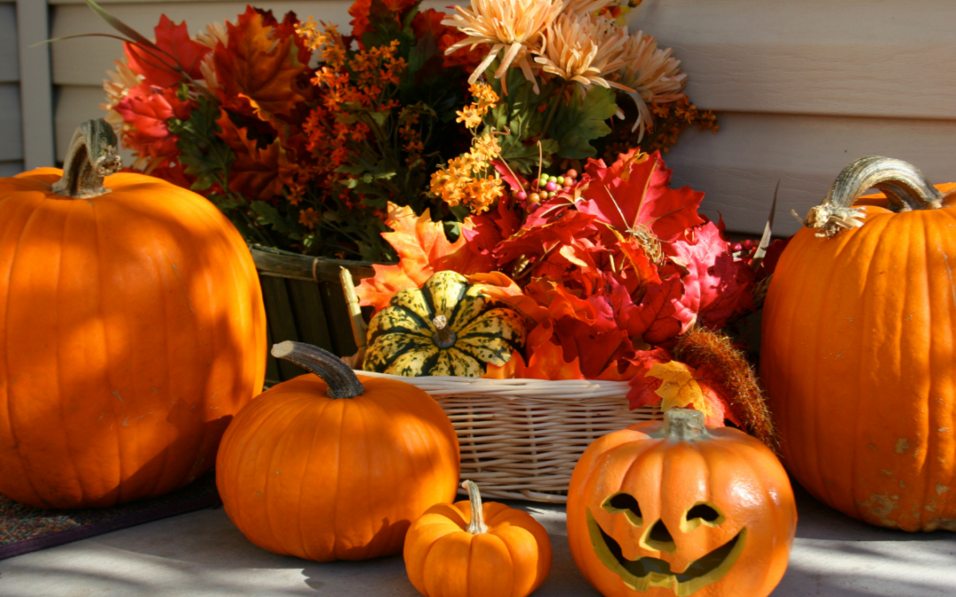 5 Unexpected Fall Color Palettes to Try This Season