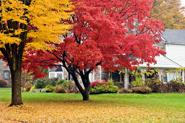 Tips for Selling Your Home in the Fall and Winter 