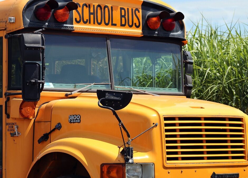 Back-to-School Organization